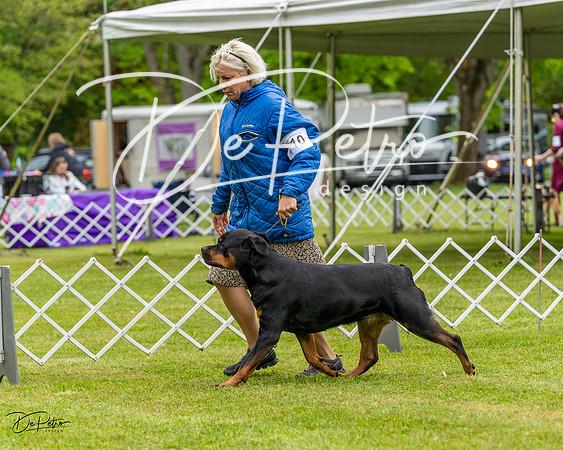20230427-DSC02388