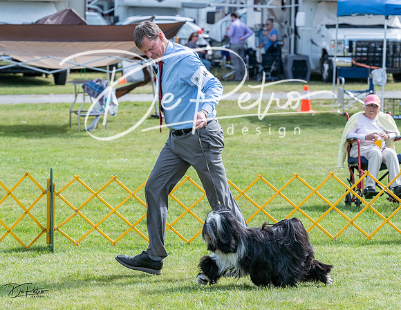 20230513-DSC00333