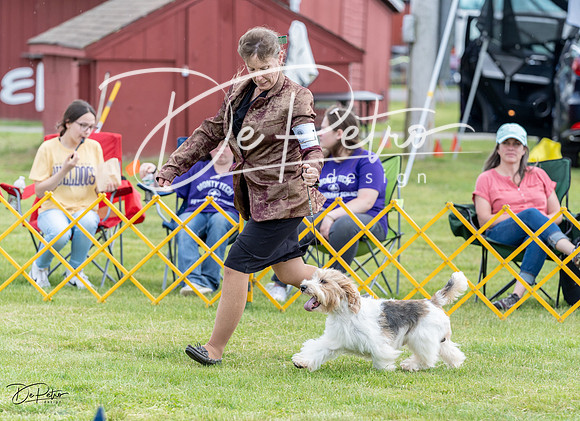 20230512-DSC03788