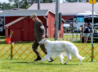 20230513-DSC09335