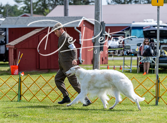 20230513-DSC09335