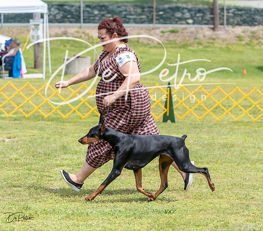 20230513-DSC08429