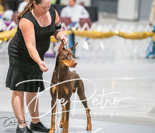 20260926-DSC04064