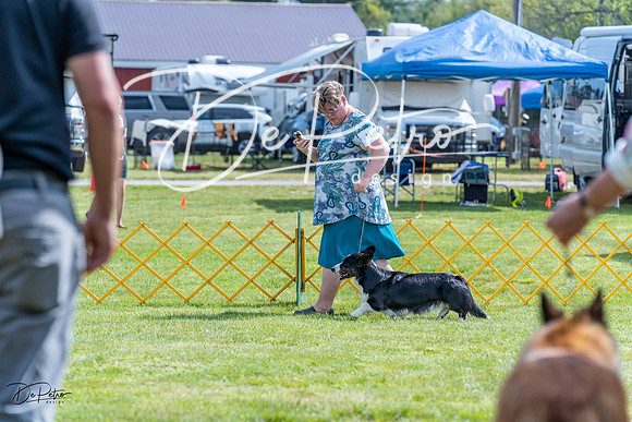 20230512-DSC05554
