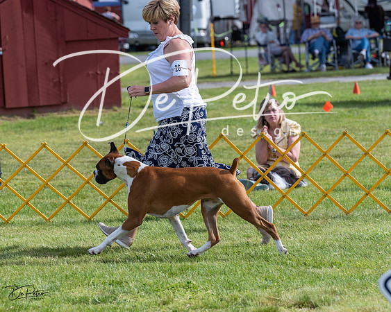 20230513-DSC00887