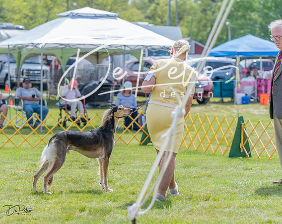 20230513-DSC09554