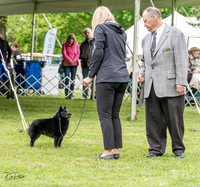 20230427-DSC05370