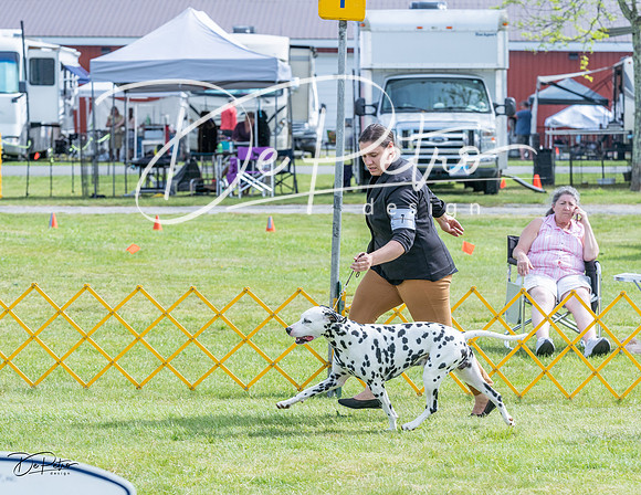 20230513-DSC00295