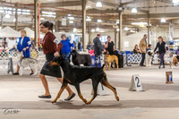 20230331-DSC05383