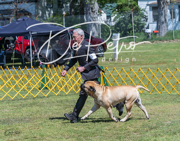 20230514-DSC03677