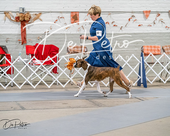20261022-DSC01940