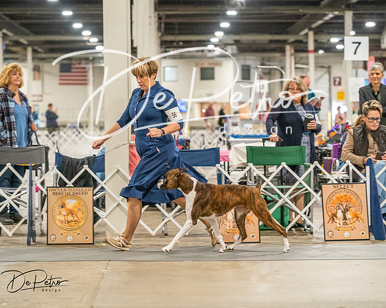 20261022-DSC01818