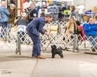20230331-DSC05990