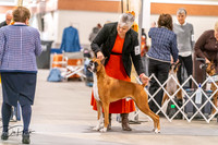 20261024-DSC08377