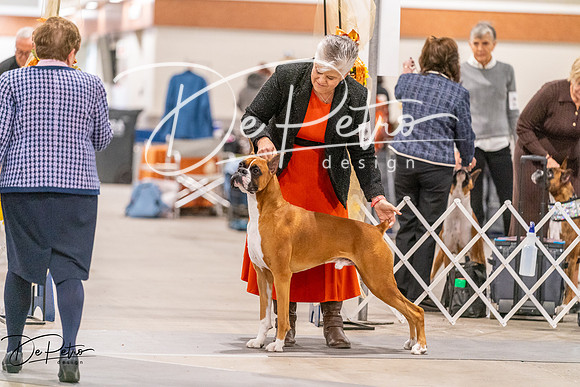 20261024-DSC08377