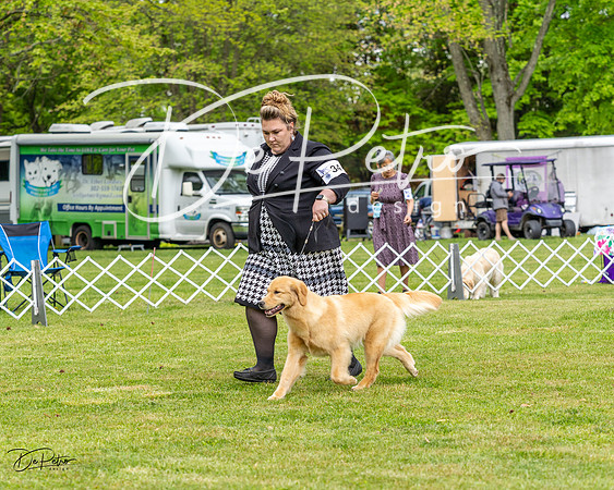 20230427-DSC03581