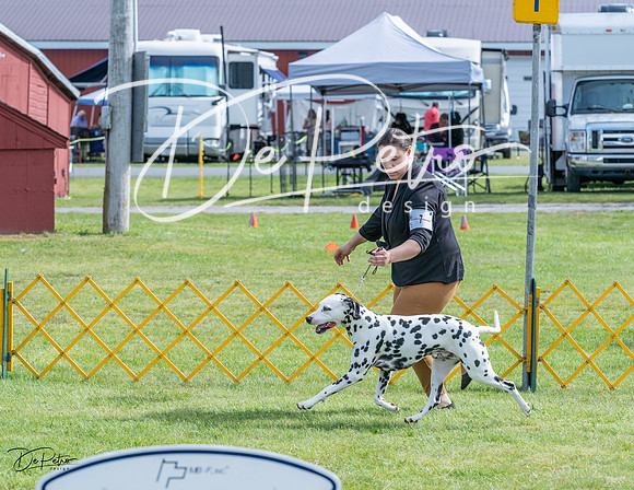 20230513-DSC00297