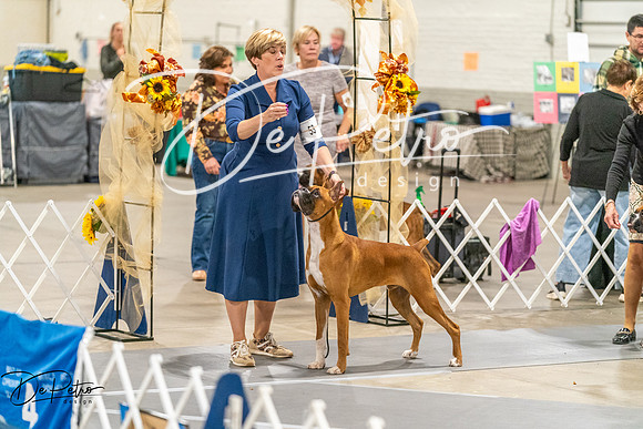 20261022-DSC00583