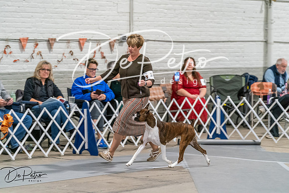 20261023-DSC05207