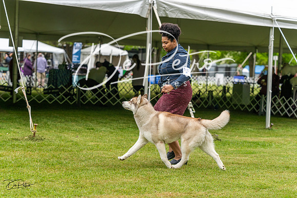 20230427-DSC03000