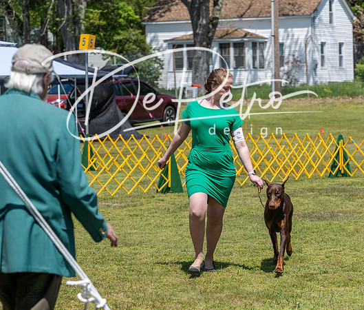 20230512-DSC02892