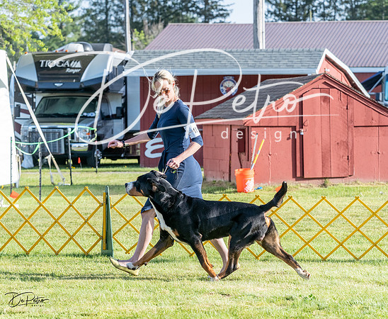 20230513-DSC02330