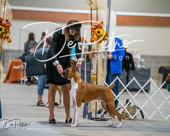 20261022-DSC02754
