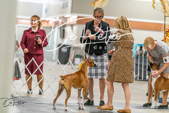 20261022-DSC00161