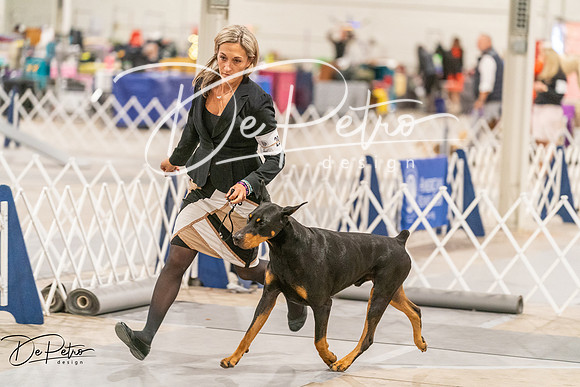20261024-DSC00926