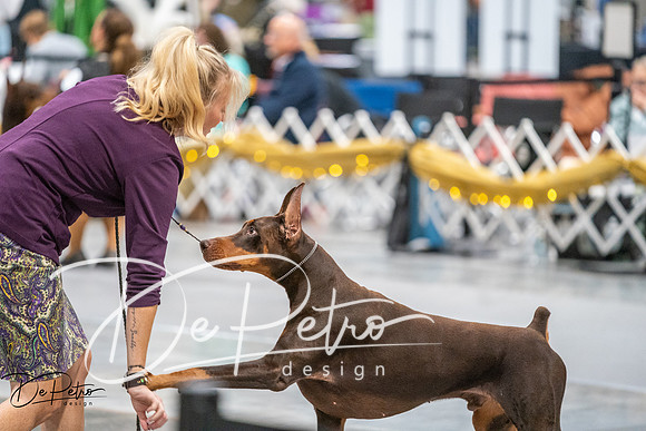 20260926-DSC04456