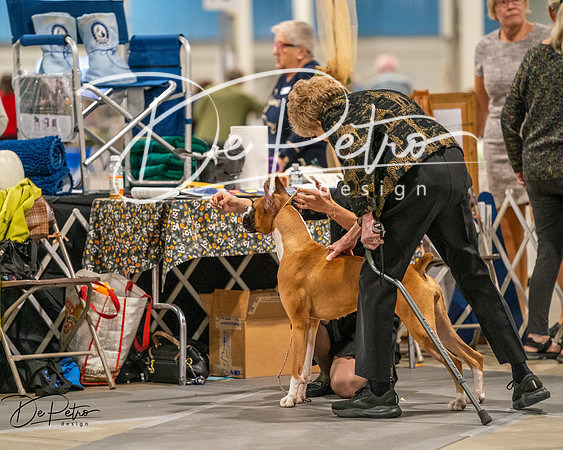 20261022-DSC01739