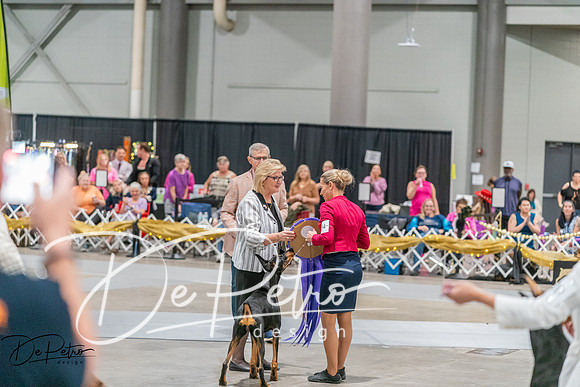 20260927-DSC05271