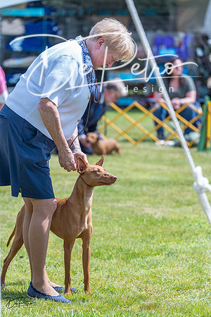 20230512-DSC03918