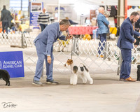20230331-DSC05983