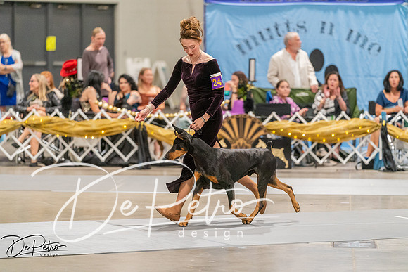 20260928-DSC06149