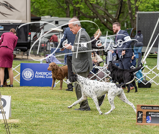 20230427-DSC05880