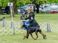 20230428-DSC07683