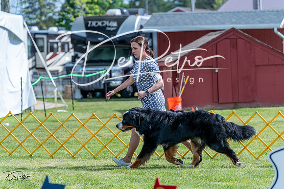 20230512-DSC05290
