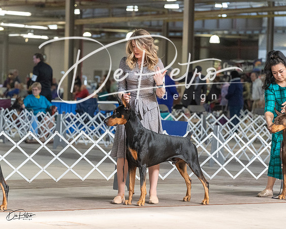 20230402-DSC09256