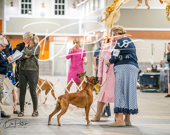 20261022-DSC03213