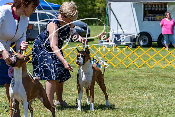 20230514-DSC04071