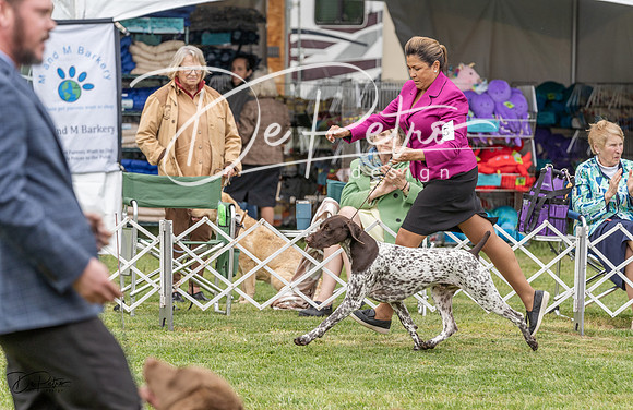 20230427-DSC06345
