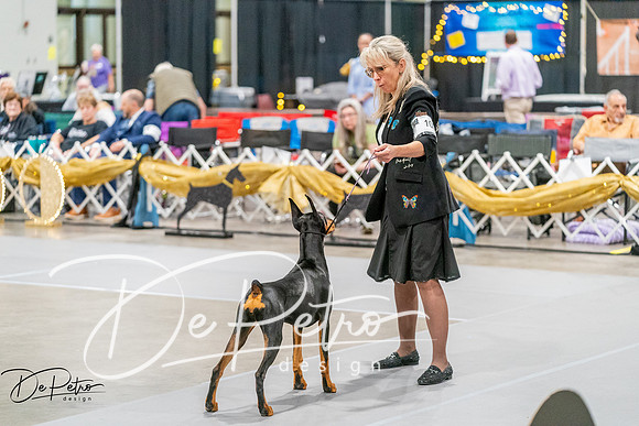 20260930-DSC06878