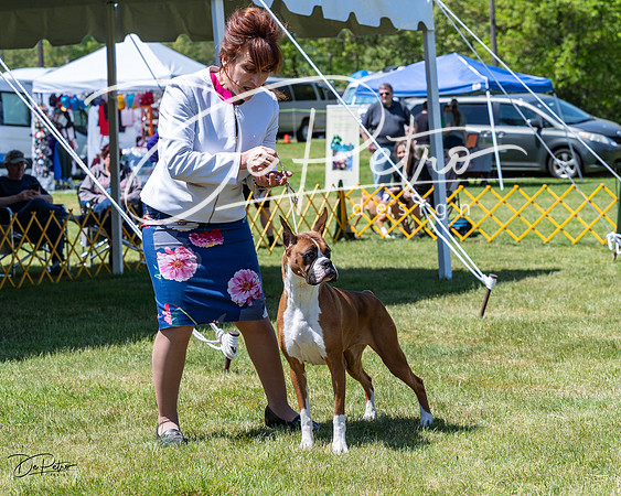20230514-DSC04022
