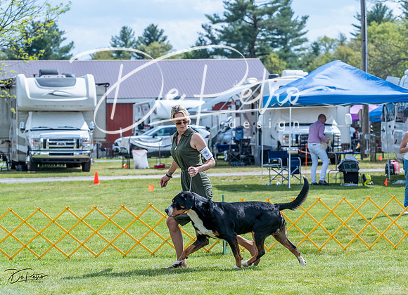 20230512-DSC05023