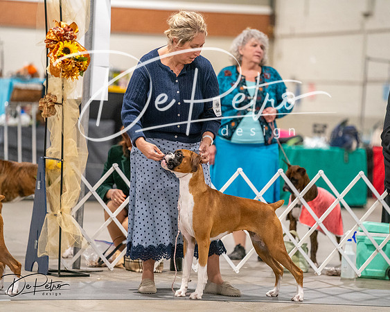 20261022-DSC03170
