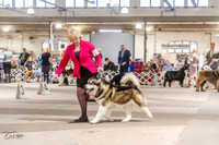 20230331-DSC05357