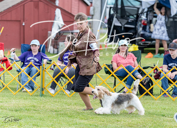 20230512-DSC03786