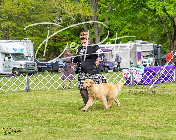 20230427-DSC03576