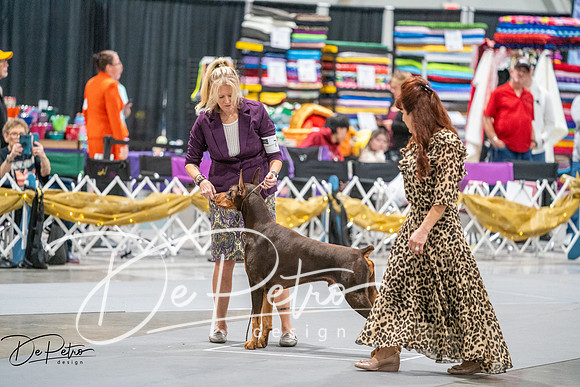 20260926-DSC04320